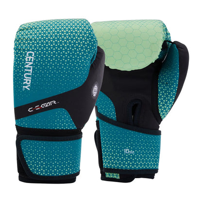 DISCIPLINE 10oz Kickboxing Gloves Century (WAKO approved) (washable)
